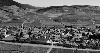 Grand Cru Furstentum