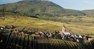 Grand Cru Gloeckelberg