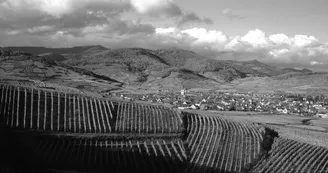 Grand Cru Kaefferkopf