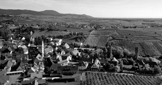 Grand Cru Mandelberg