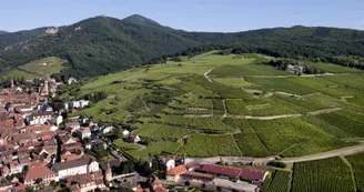 Grand  Cru Osterberg