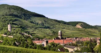 Grand Cru Schlossberg