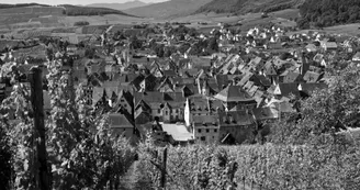 Grand Cru Schoenenbourg