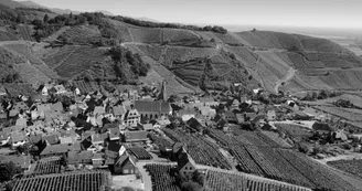 Grand Cru Sommerberg