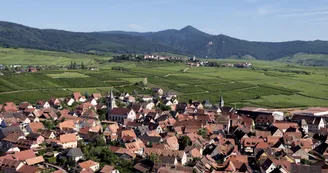 Grand Cru Sonnenglanz