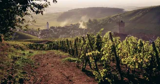 Grand Cru Wineck-Schlossberg