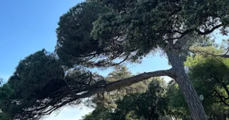 Promenade Aimé Césaire