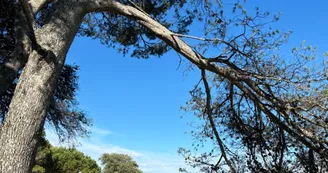 Promenade Aimé Césaire