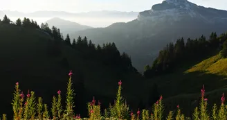 Belvédère du Charmant Som