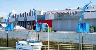 Port de la Cotinière