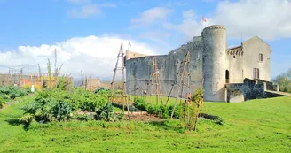Château Fort de la Fée Mélusine et son parc de loisirs médiéval à St-Jean-d'Angle