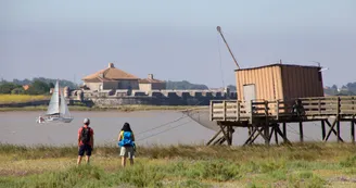 Estuaire de la Charente