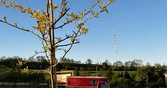 le Parc du Yack Blanc
