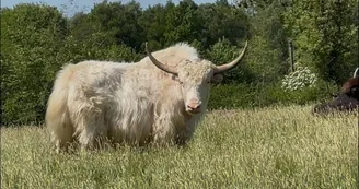 Le Parc du Yack Blanc