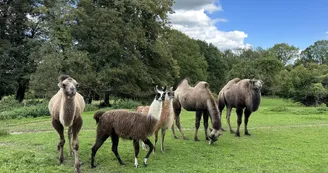 le Parc du Yack Blanc