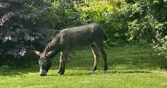 le Parc du Yack Blanc