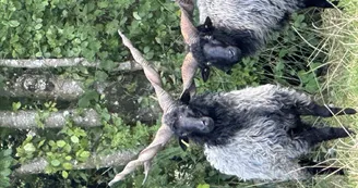 le Parc du Yack Blanc