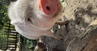 le Parc du Yack Blanc