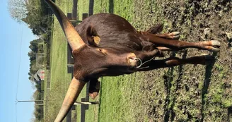 le Parc du Yack Blanc