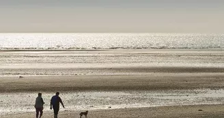 (C)2013- Lerouge Marc Photographies, tous droits réservés