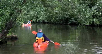 Base de Loisirs de Saint Sauveur