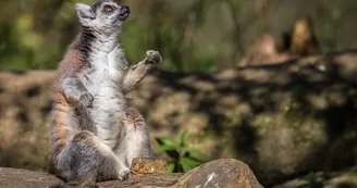 ©Marceau Bellanger - CD76