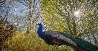 ©Marceau Bellanger - CD76