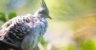 ©Marceau Bellanger - CD76