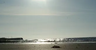 Office de Tourisme d'Isigny-Omaha