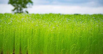 © Département de l'Eure