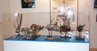 Musée de l'Ecorché d'Anatomie, Le Neubourg © Musée de l'Ecorché d'Anatomie