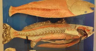 © ADT de l'Eure, L. Maillard