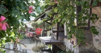 Eye Eure Productions