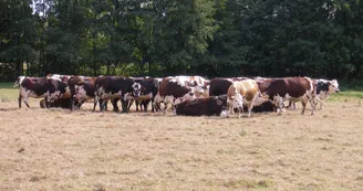 Office de Tourisme Normandie Sud Eure