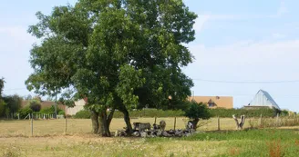 Office de Tourisme Normandie Sud Eure