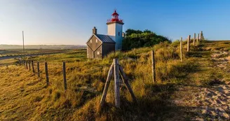 Teddy bear coutances tourisme