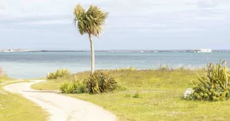 Ville de Cherbourg en Cotentin
