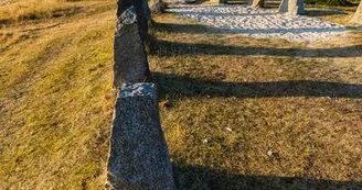 Teddy bear coutances tourisme