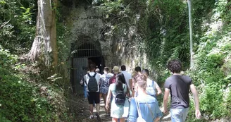 VILLE DE FECAMP - MAISON DU PATRIMOINE - FECAMP