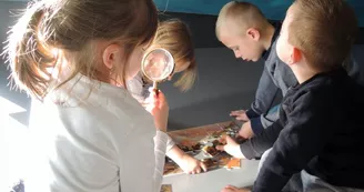 VILLE DE FECAMP - MAISON DU PATRIMOINE - FECAMP