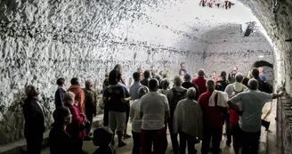 VILLE DE FECAMP - MAISON DU PATRIMOINE - FECAMP