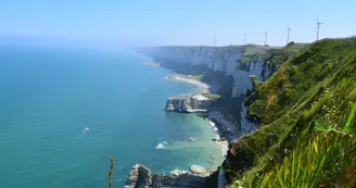 OTI FECAMP - MAISON DU PATRIMOINE - FECAMP