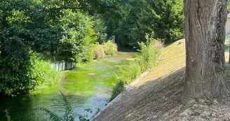 ©Marion Sanchez Martin