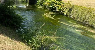 ©Marion Sanchez Martin