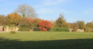 aire-CC-ruillé-en-chamapgne-72-CC-1