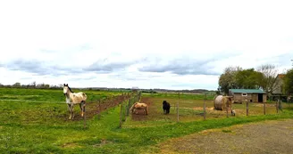 vallée-de-la-sarthe-au-nid-douillet-aire-camping-car