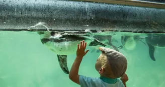 74 Le Loir_Zoo de La Fl+¿che_France-®Allwrite