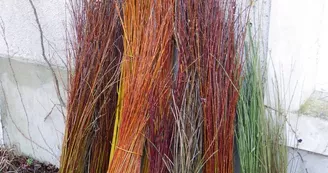 bottes de rameaux champêtres©cpievsl