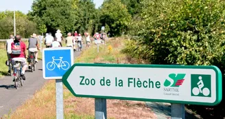 location vélo la Flèche_72_asc (5)