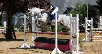 13007129_1588668574780031_7231046929382518955_n